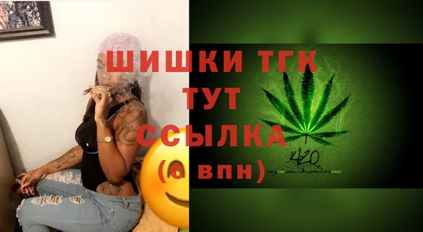 прущие грибы Дедовск