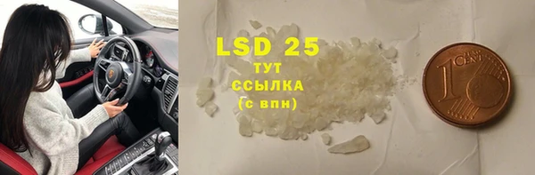 прущие грибы Дедовск