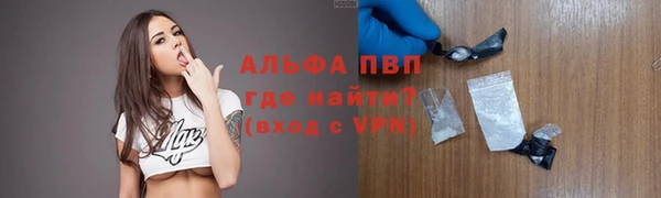 молекула духа Пересвет