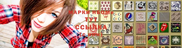 прущие грибы Дедовск