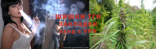 прущие грибы Дедовск