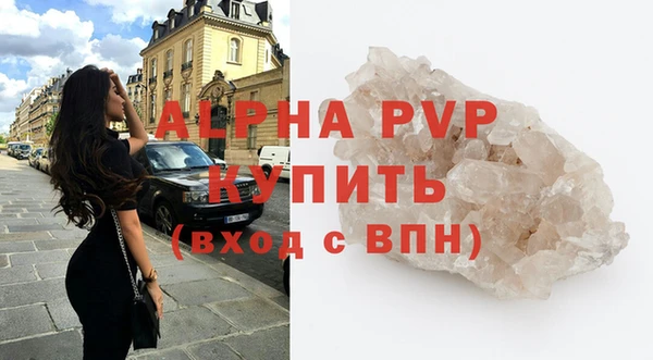 молекула духа Пересвет