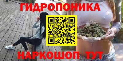 2c-b Будённовск