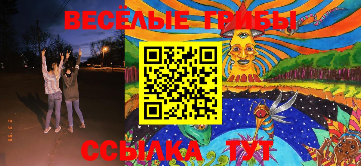 Псилоцибиновые грибы Psilocybine cubensis Тара