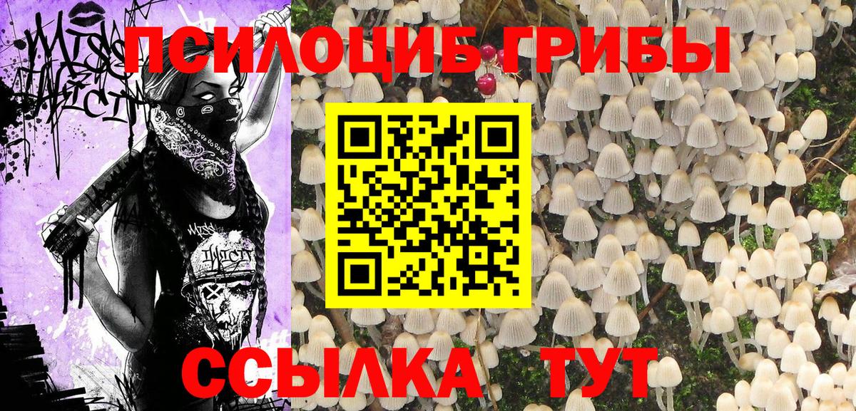 Галлюциногенные грибы ЛСД  Тара 