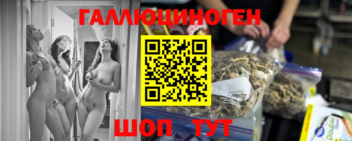 где найти   Вход с VPN  Тара  Псилоцибиновые грибы GOLDEN TEACHER  Галлюциногенные грибы Psilocybe 