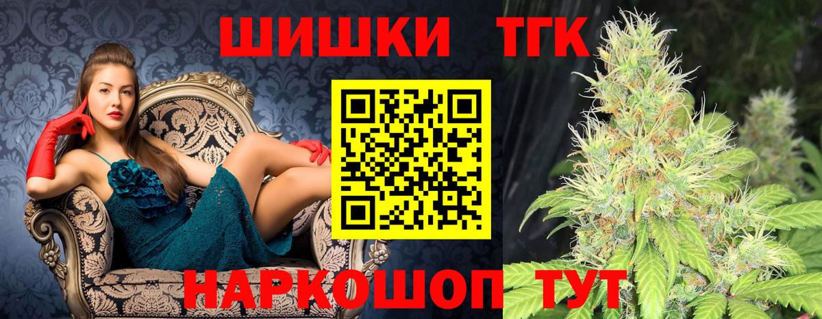 Марихуана планчик  Канабис планчик  Конопля сатива  Тара  Вход с VPN 